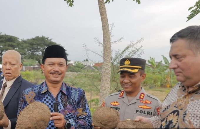 rumania-porang_1